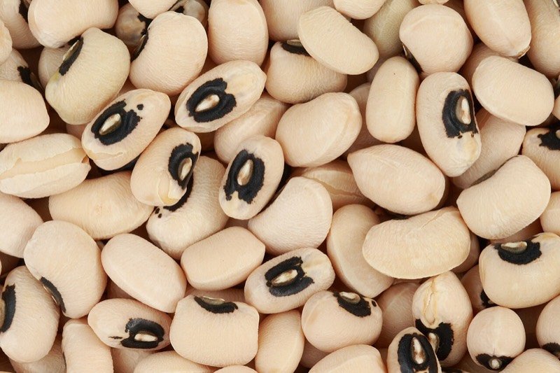 Chola (Black-Eyed Bean)