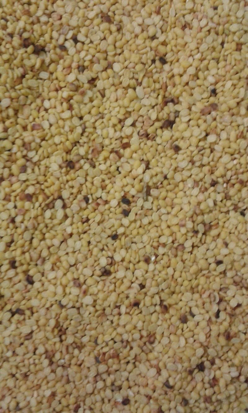 Moong Mogar
