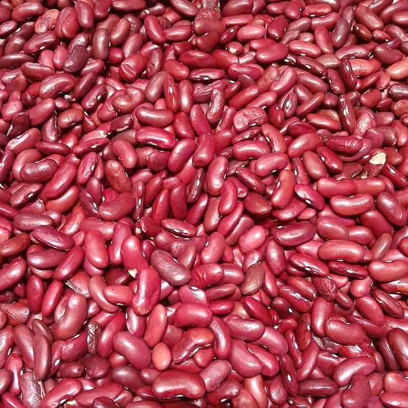 Rajma Chitra